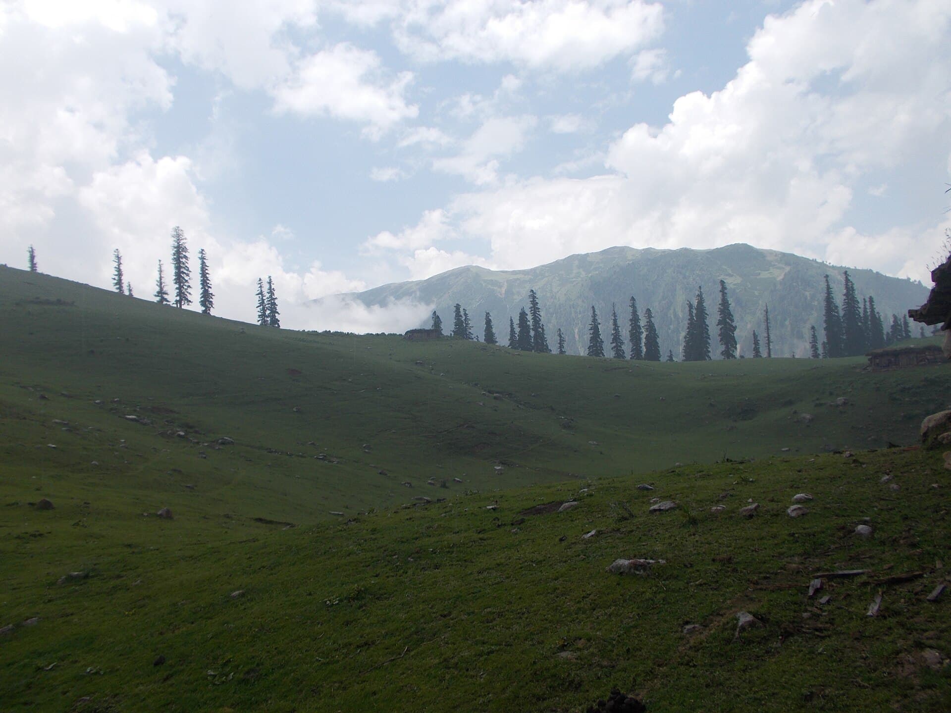 Beautiful meadows, Doude pather (Doodhpathri) towards tousa maidaan
