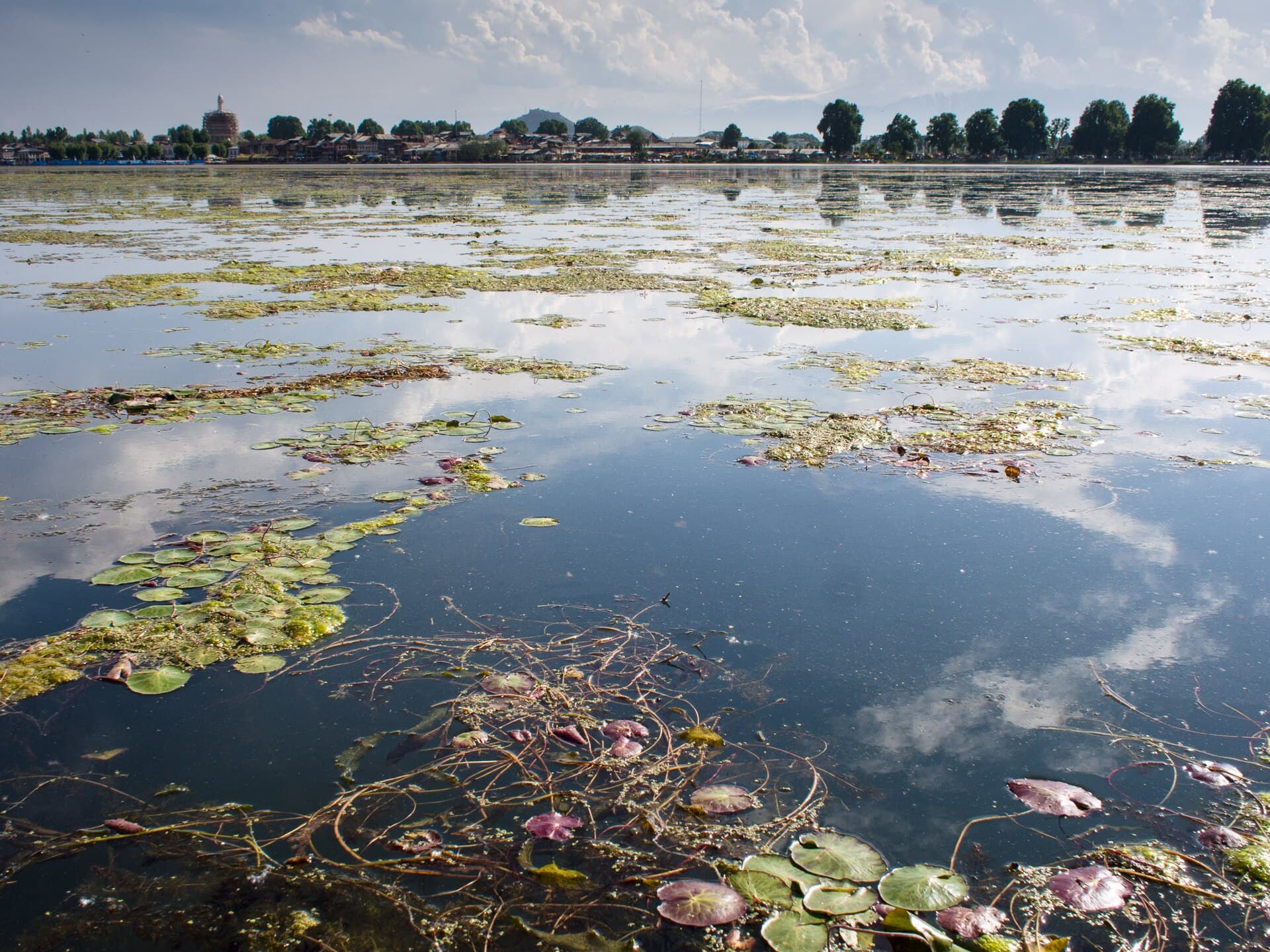 Dal Lake